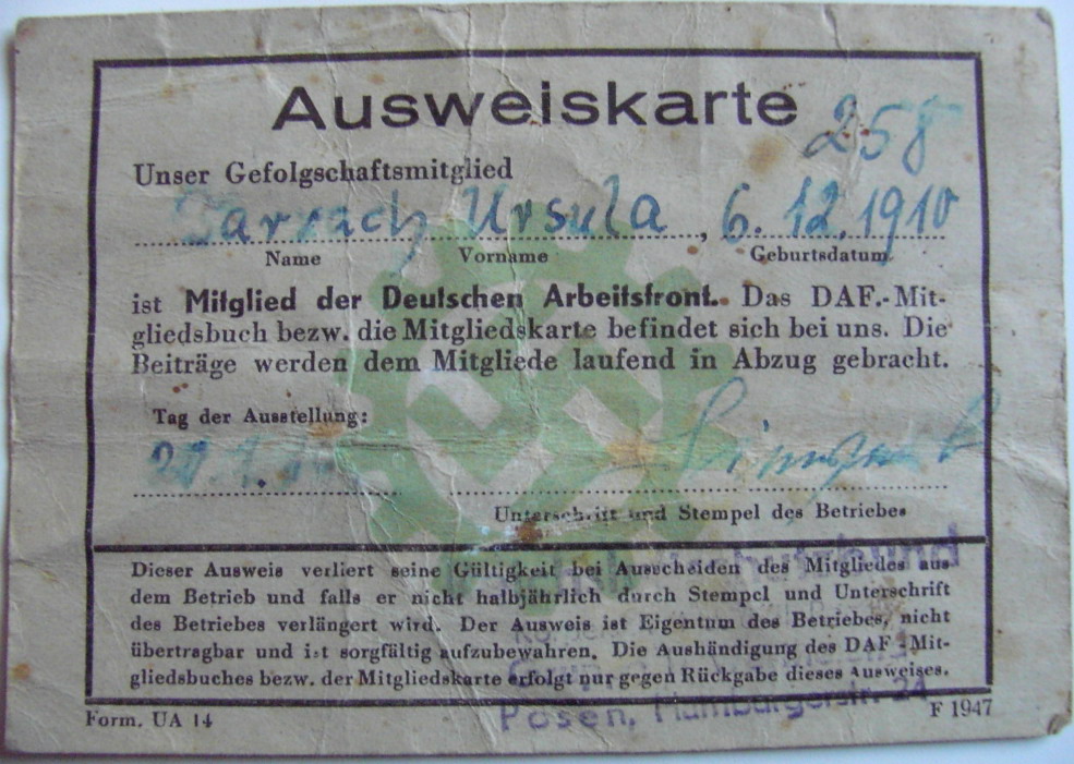 Photo Ausweiskarte DAF - Ursula Tarrach (see also Arbeitsbuch of her)