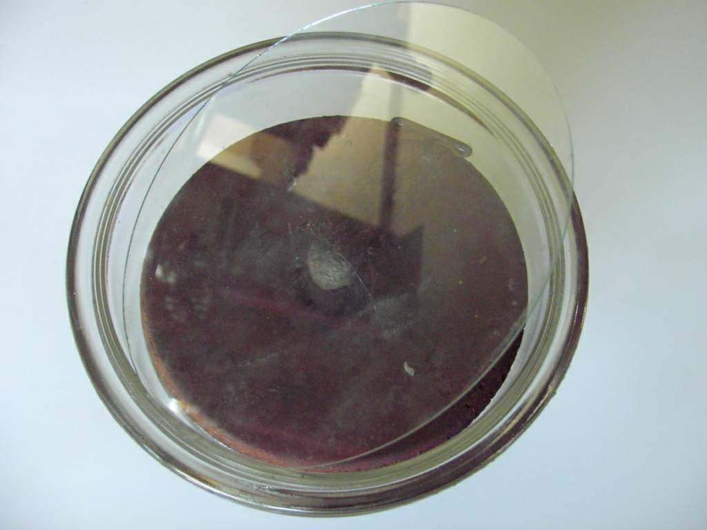 Photo Glasmine with steel and glass plate + igniter