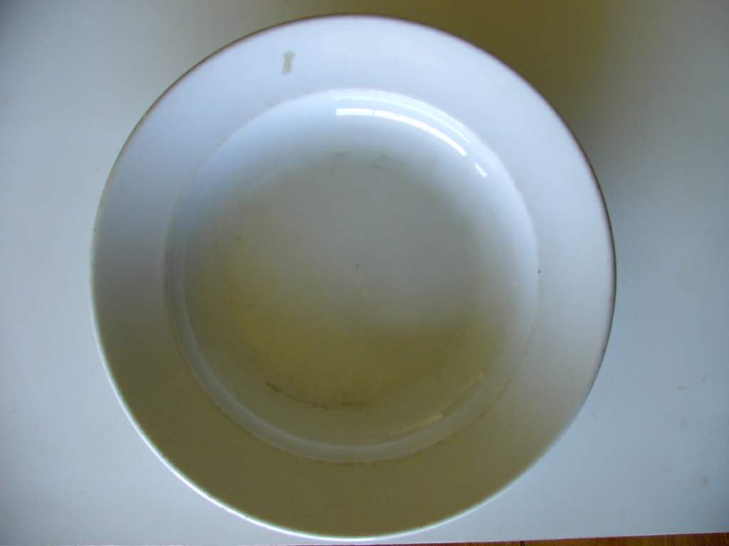 Photo Plate - RK - Grünlas - Sudetengau - 1939