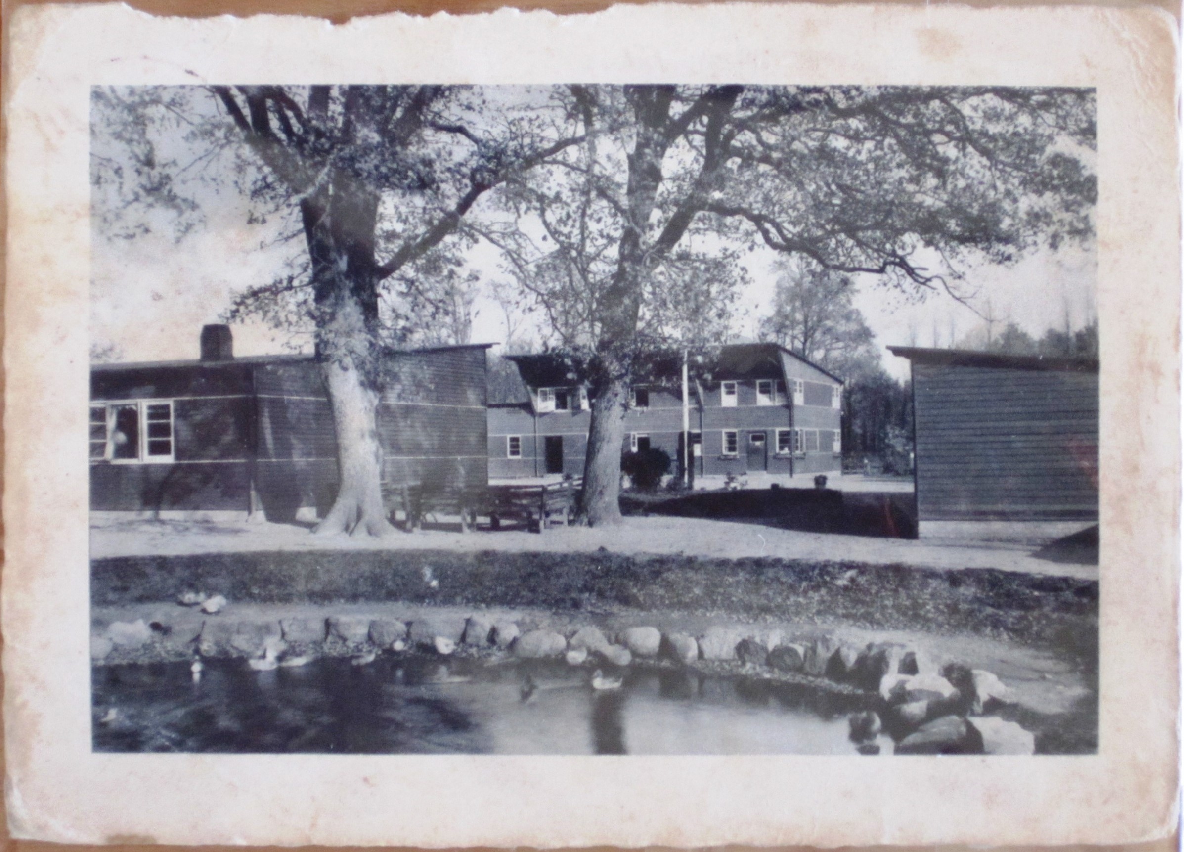 Photo Postcard : Reichsarbeitsdienst - Abteilung 1/194 - "Daniel von Büren" - picture of the camp
